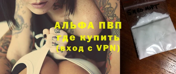 стаф Верея