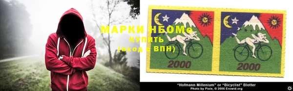 стаф Верея