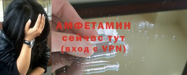 стаф Верея