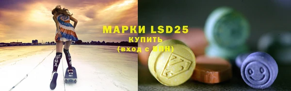 стаф Верея