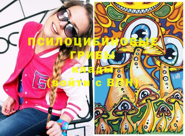 стаф Верея