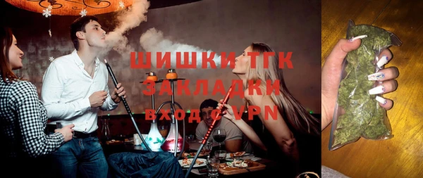 стаф Верея