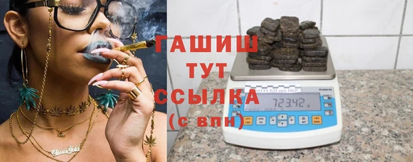 стаф Верея