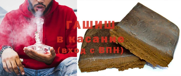 стаф Верея